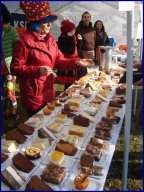 Faschingsumzug 2015 (Fotos Franz Amon)